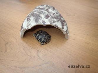 Úkryt euzelva č. 1 - 13
