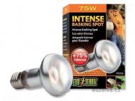 Žárovka EXO TERRA Intense Basking Spot 75 W