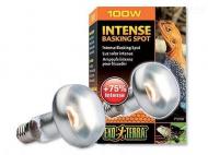  Žárovka EXO TERRA Intense Basking Spot 100 W