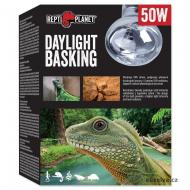 Žárovka REPTI PLANET Daylight Basking Spot (50 W) 