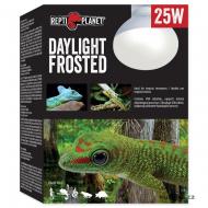 Žárovka REPTI PLANET Daylight Frosted (25 W)