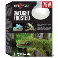 Žárovka REPTI PLANET Daylight Frosted (75 W)
