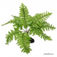 Umělá tropická rostlina - Nephrolepis (20 cm) 