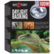Žárovka REPTI PLANET Daylight Basking Spot (100 W)