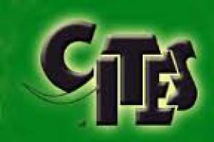 cites.jpg