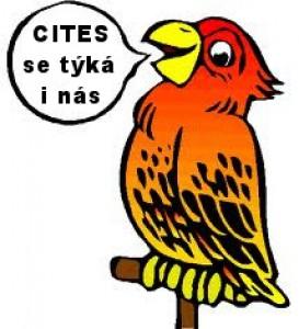papousek.jpg