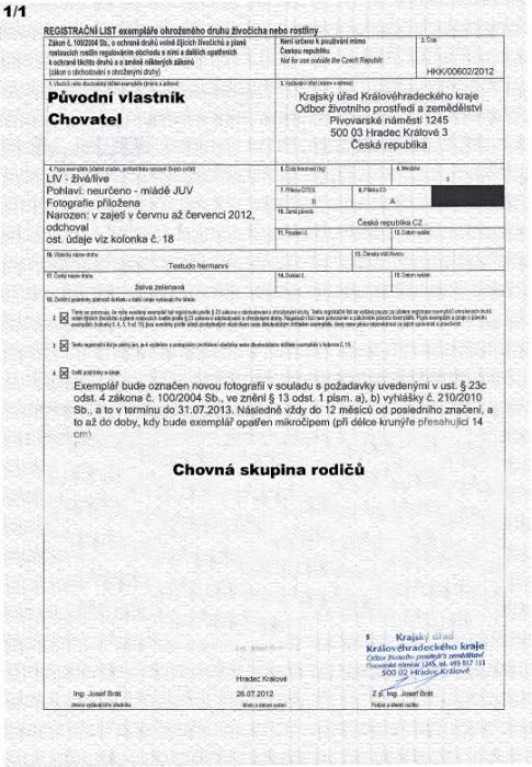 cites--2-.jpg