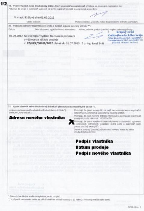 cites--3-.jpg