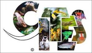 cites--zmeny.jpg