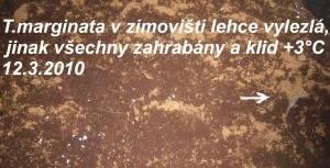 Zimovi%C5%A1t%C4%9B-12.3.2010.jpg