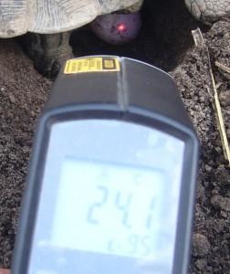 %C5%BDelv%C3%AD-rok-8.7.10-014.jpg